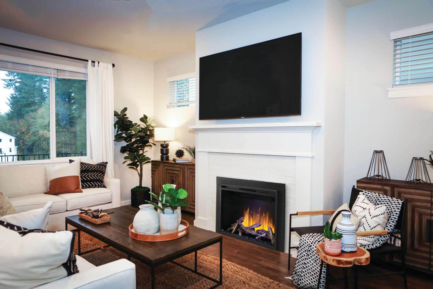 Napoleon Bbq NEFB42HBS1 Element 42 Built-in Electric Fireplace