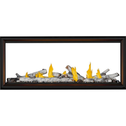 Napoleon Bbq TLV62N2 Tall Linear Vector 62 See Through Direct Vent Gas Fireplace