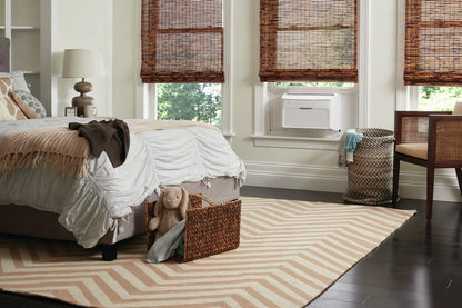 Frigidaire GHWQ103WC1 10,000 BTU Inverter Window Room Air Conditioner with Wi-Fi (Energy Star)