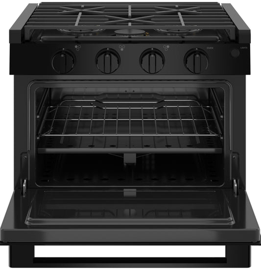 PLD617DWBB GE Profile™ 17" Drop-In Electric Ignition RV Range