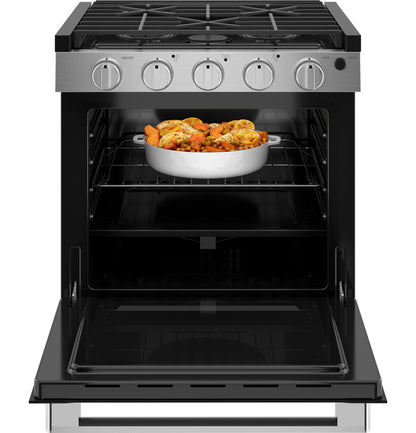 PLD621RTSS GE Profile™ 21" Drop-In RV Gas Range