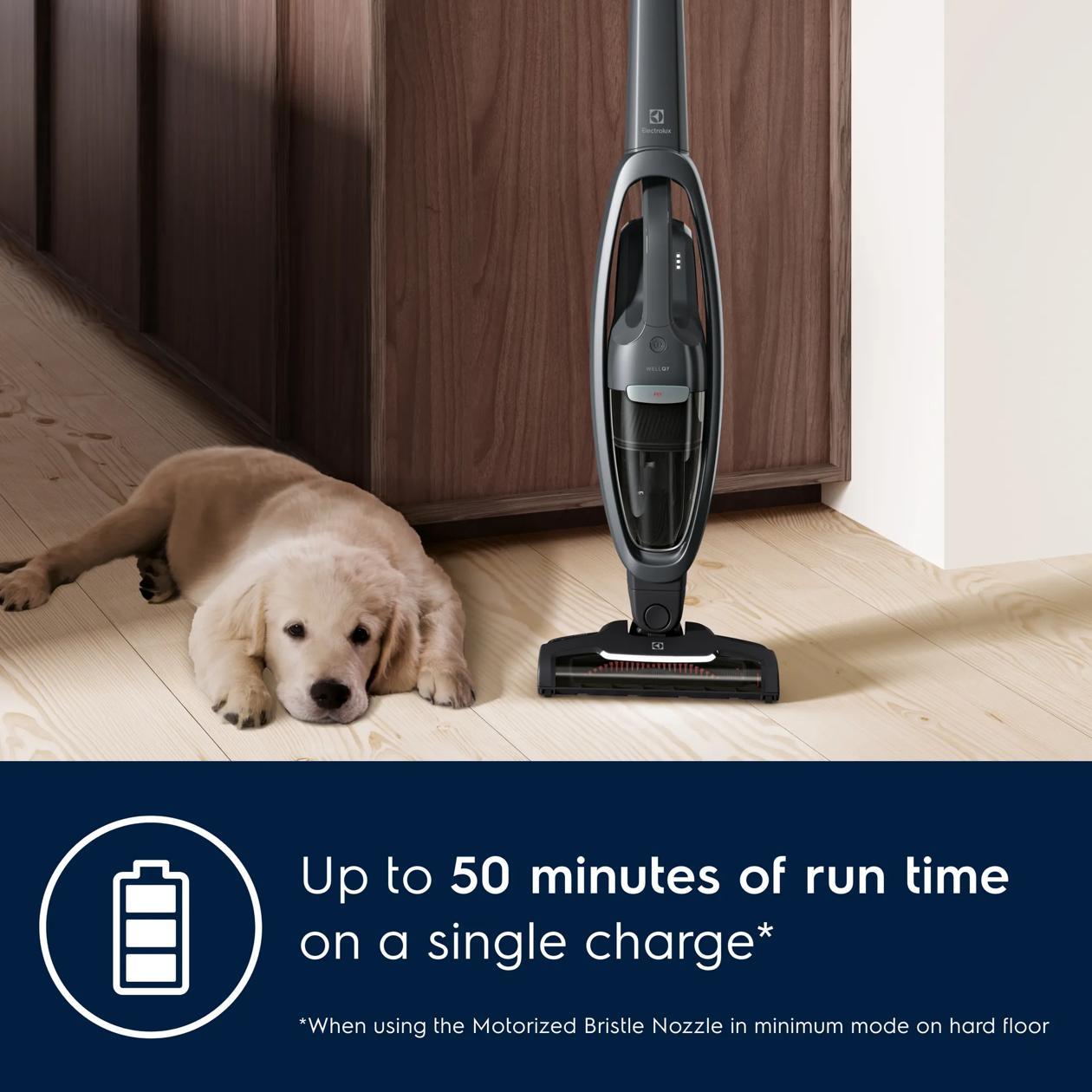 Electrolux EHVS35P2AT WellQ7™ Pet Vacuum