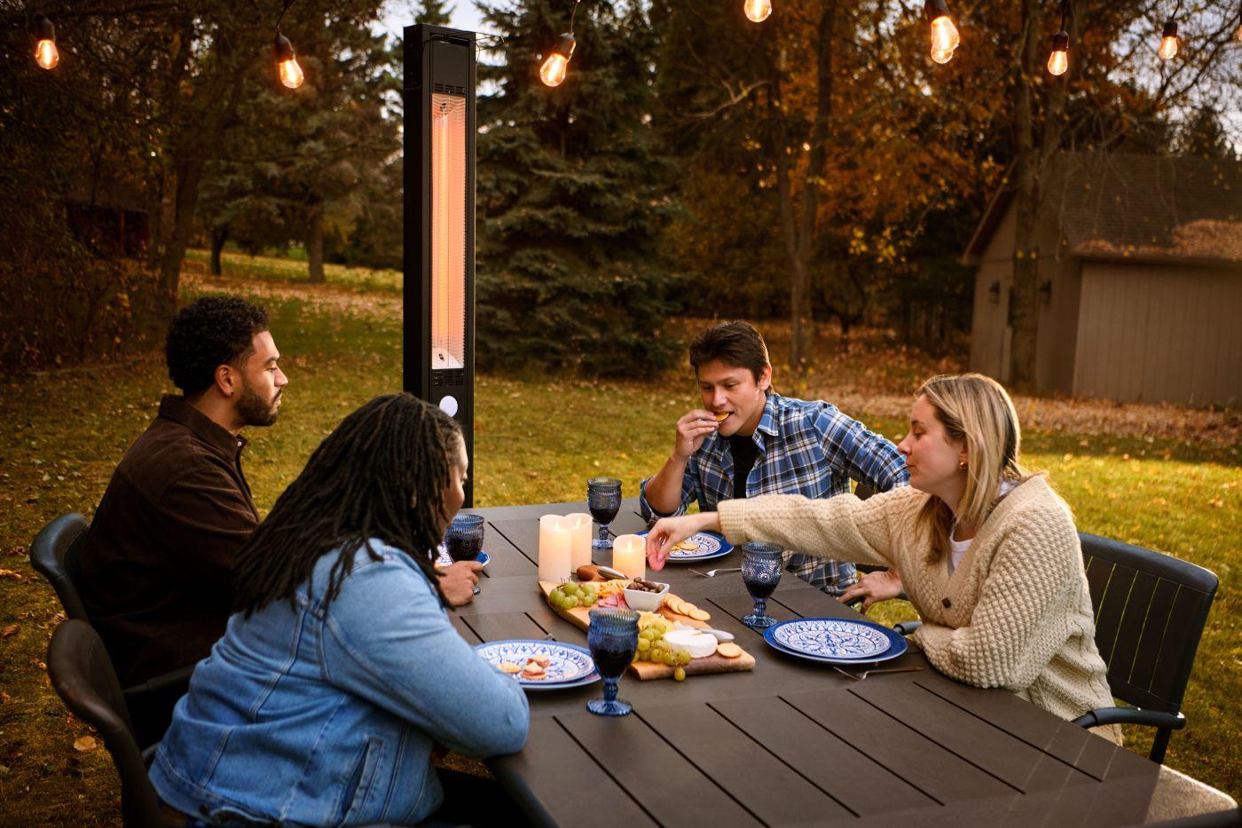 Napoleon Bbq NEOFV80IH Phantom Freestand Outdoor Electric Infrared Heater , Electric, Matte/Matt Black