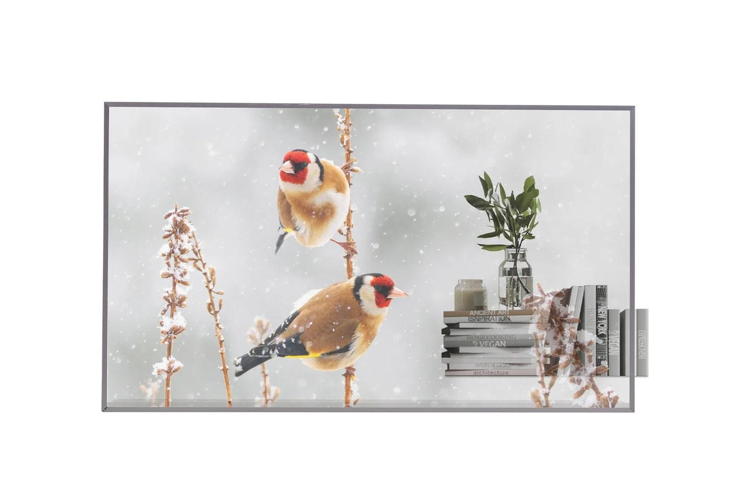 Lg 55EW5PM 55'' Transparent OLED with Expandable Design