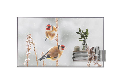 Lg 55EW5PM 55'' Transparent OLED with Expandable Design