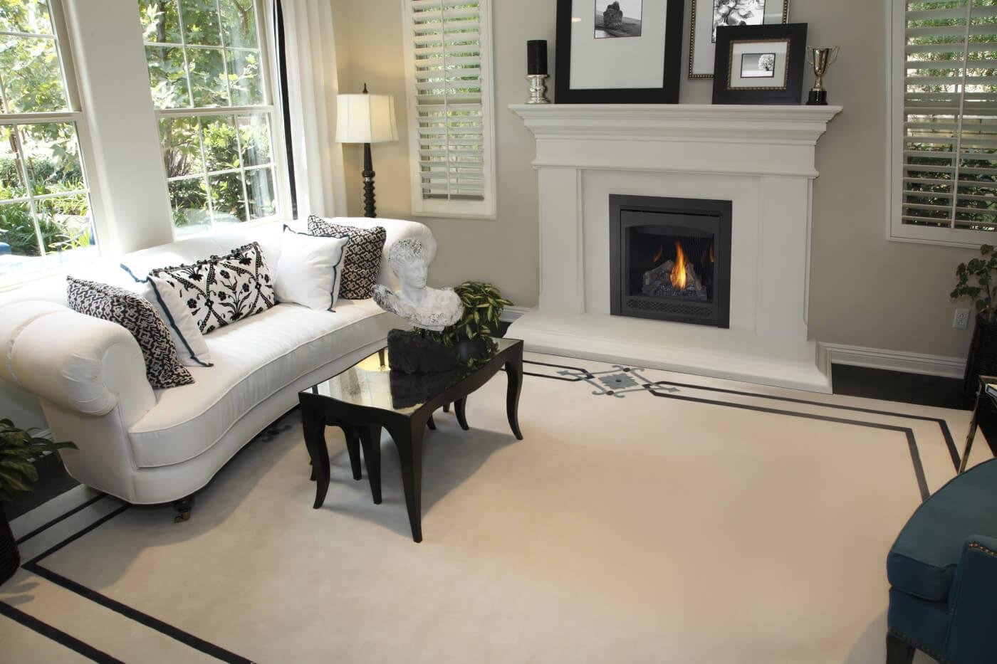 Napoleon Bbq B30NTRE1 Ascent 30 Direct Vent Gas Fireplace