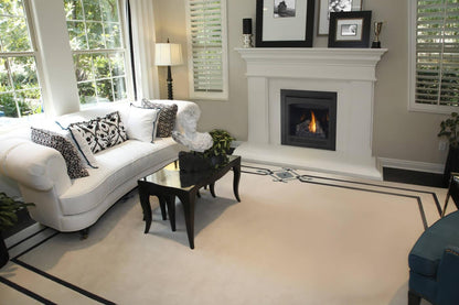 Napoleon Bbq B30NTRE1 Ascent 30 Direct Vent Gas Fireplace