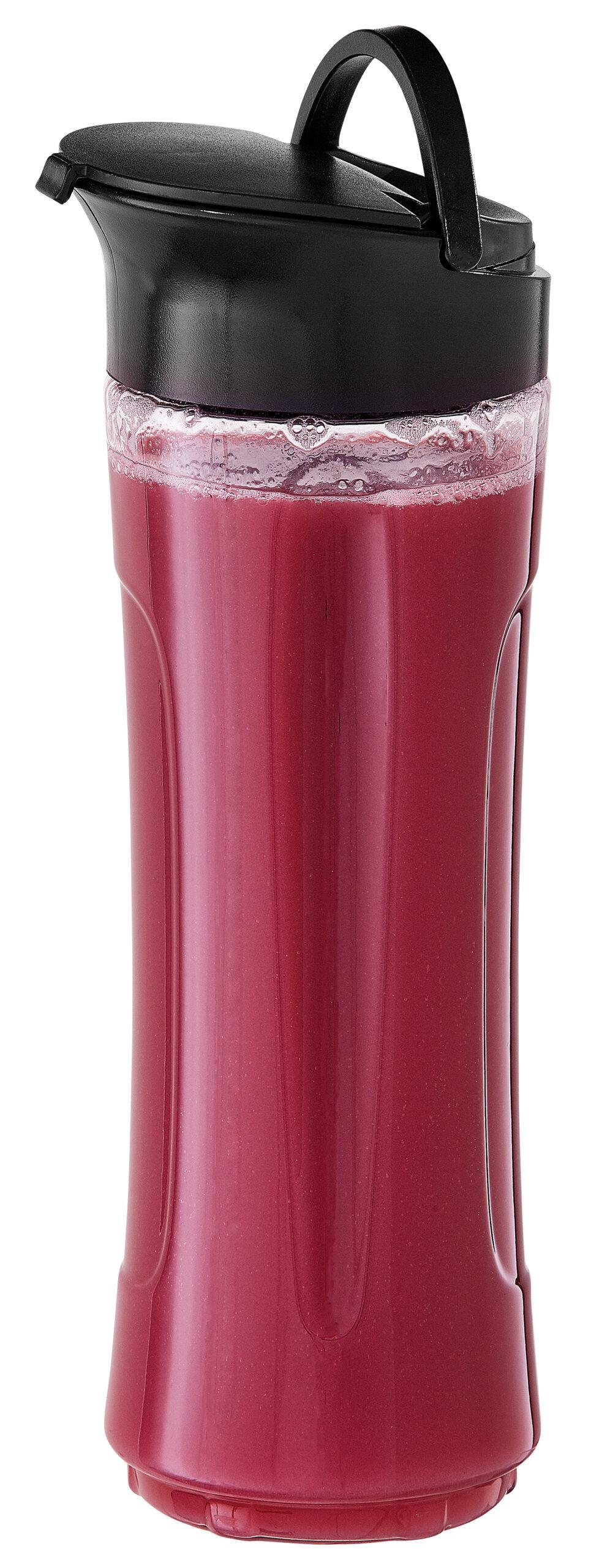 DBL25C1BSSDB Danby 600mL Smoothie Blender Specialty in Stainless Steel