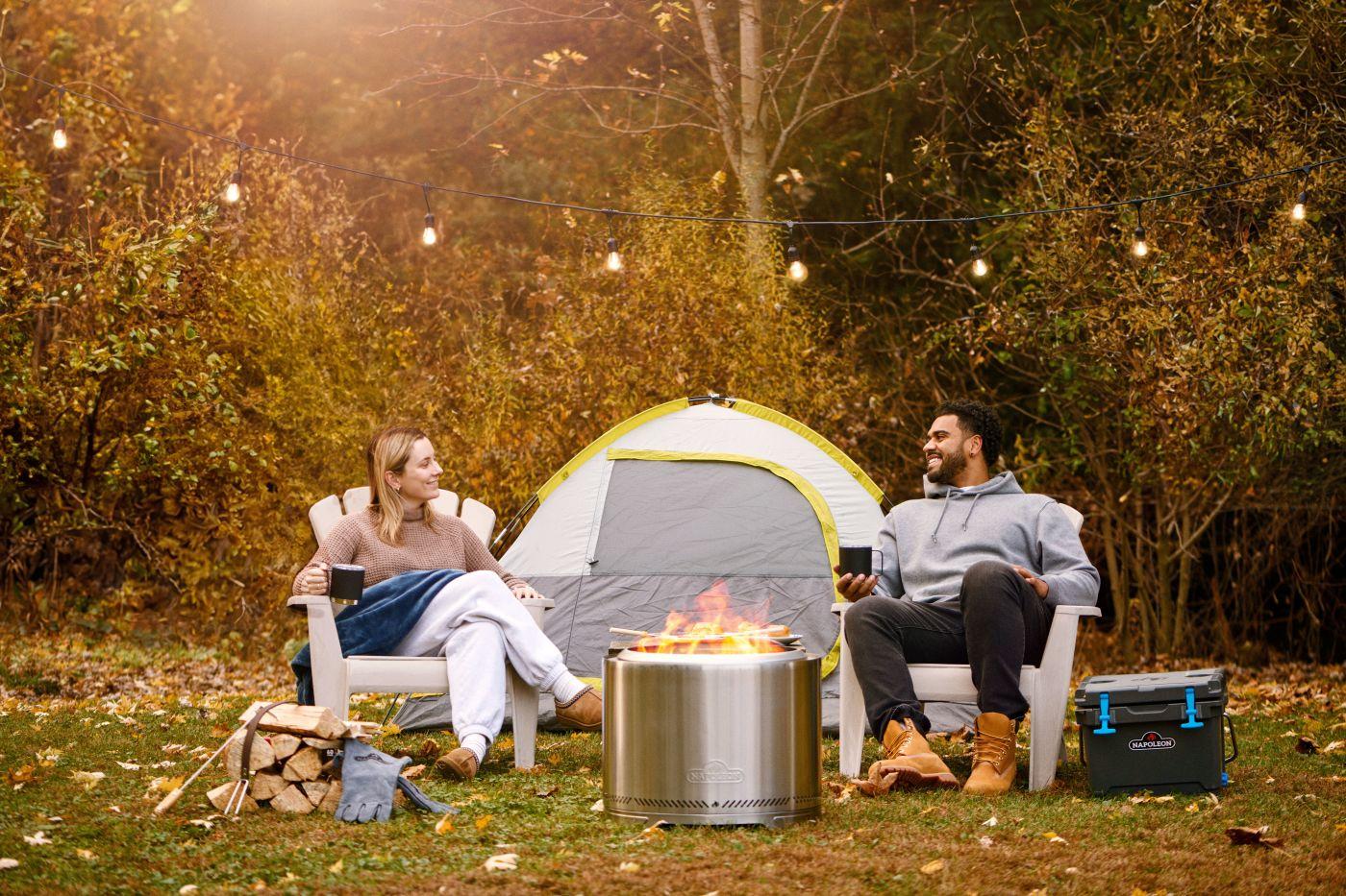 Napoleon Bbq NWFPLTISS Timberwolf Smokeless Fire Pit 22-inch, Stainless Steel , Wood, Stainless Steel