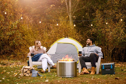 Napoleon Bbq NWFPLTISS Timberwolf Smokeless Fire Pit 22-inch, Stainless Steel , Wood, Stainless Steel