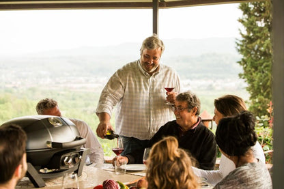 Napoleon Bbq PRO285BK TravelQ PRO285 Portable Gas Grill , Propane, Black