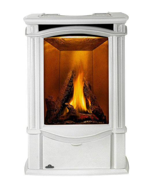 Napoleon Bbq GDS26NW1 Castlemore Direct Vent Gas Stove