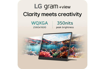 Lg 17MT70ASDU1 17 Inch LG gram +view IPS Portable Monitor, Silver
