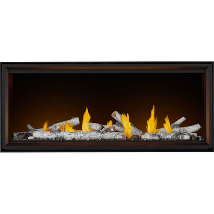 Napoleon Bbq TLV62N Tall Linear Vector 62 Direct Vent Gas Fireplace