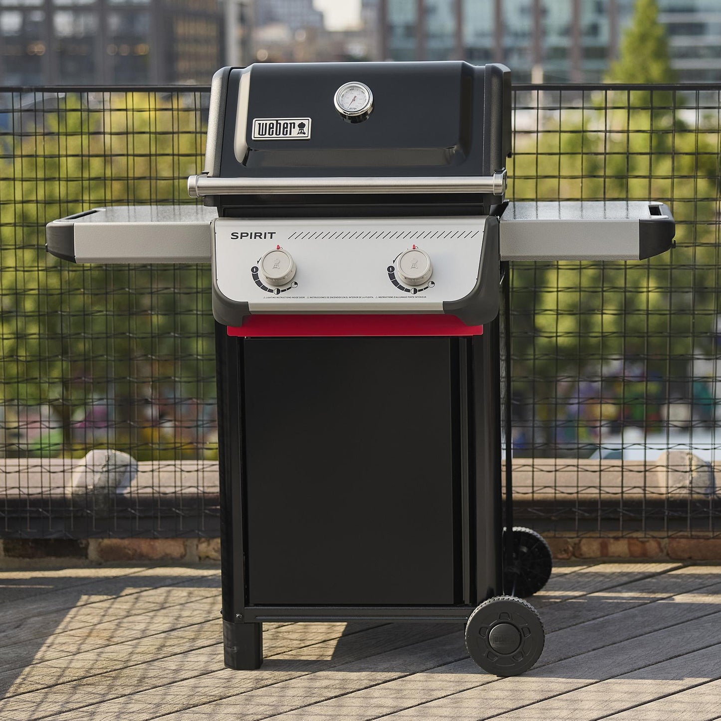 Weber 1501000 Spirit® E-210 Gas Grill (Liquid Propane) - Black