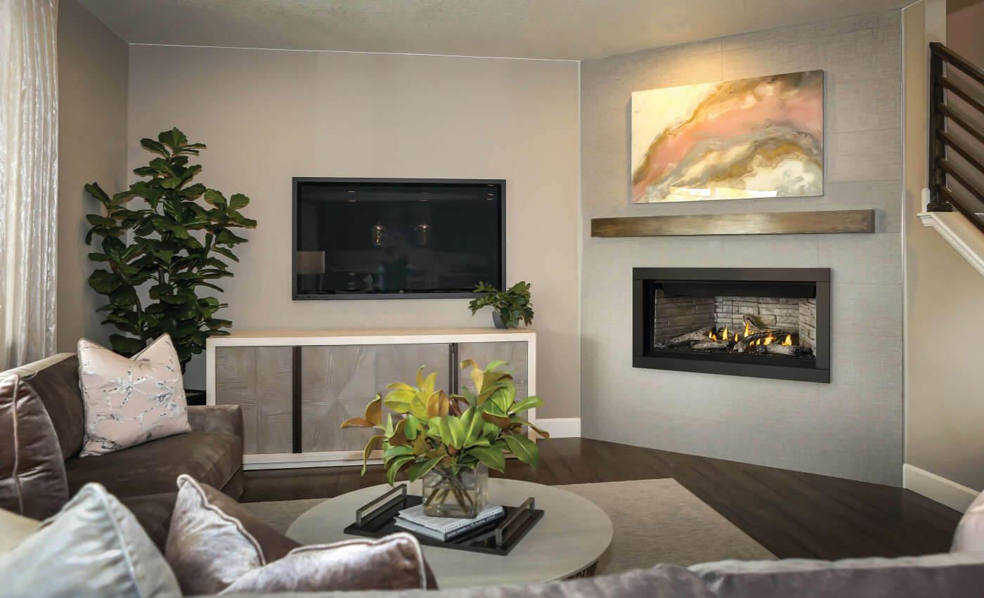 Napoleon Bbq BL42NTE Ascent Linear 42 Direct Vent Fireplace