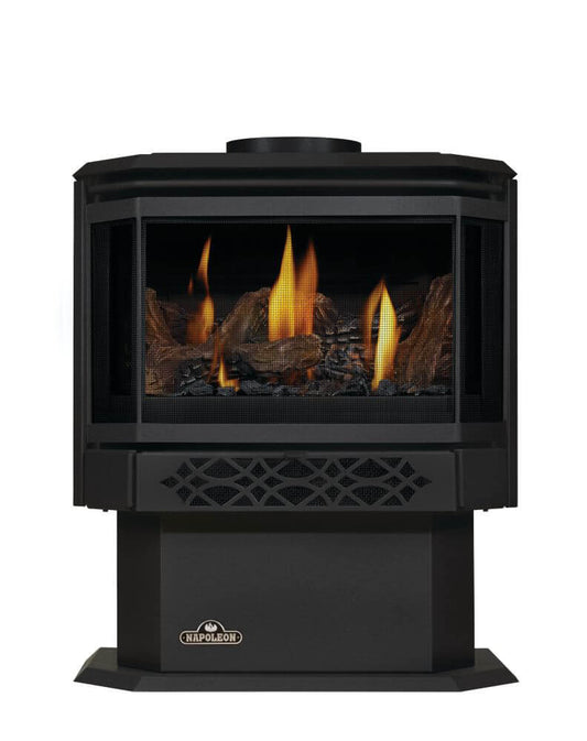 Napoleon Bbq GDS281NEA Haliburton Direct Vent Gas Stove