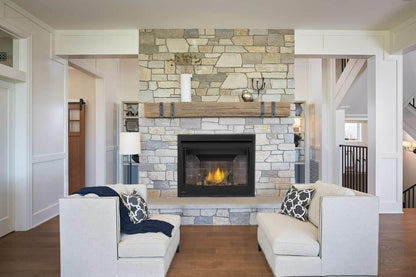 Napoleon Bbq BX42NTRE Ascent BX 42 Direct Vent Gas Fireplace
