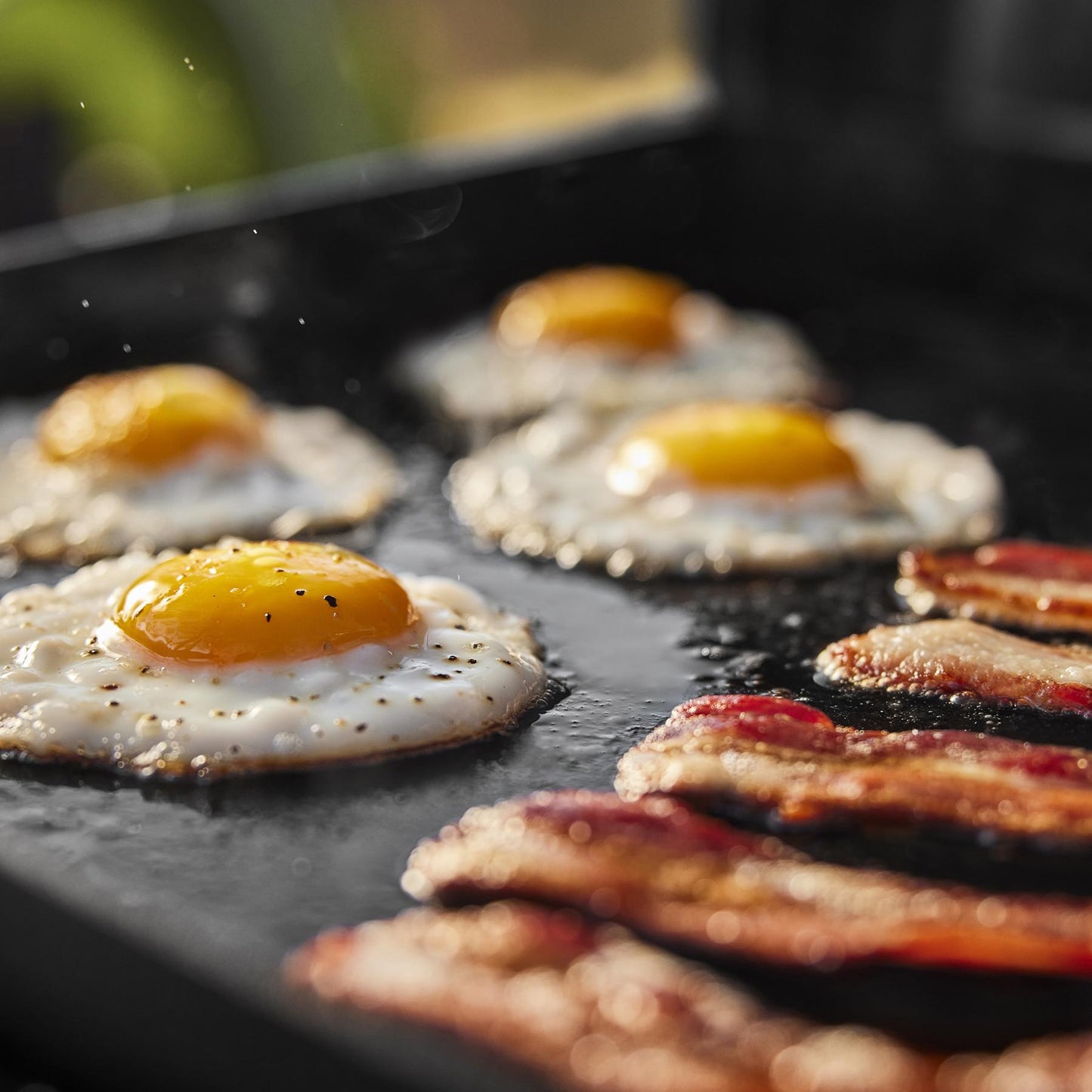 1500213 Weber Traveler® 22 Tabletop Griddle - Black