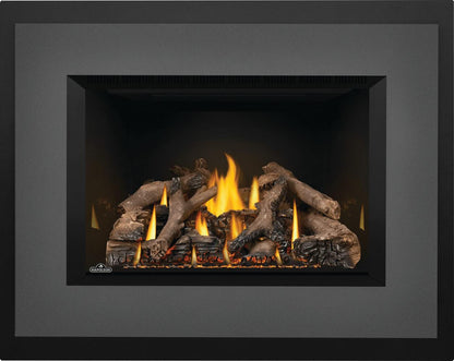 Napoleon Bbq GDIX4N1 Oakville X4 Direct Vent Gas Insert