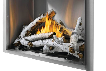 Napoleon Bbq RSS42NE Riverside 42 Outdoor Gas Fireplace