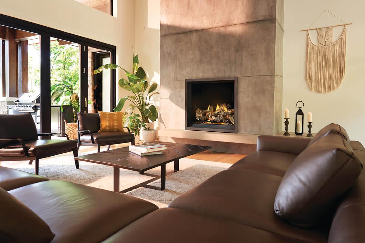 Napoleon Bbq EX42NTEL Elevation X 42 Direct Vent Gas Fireplace