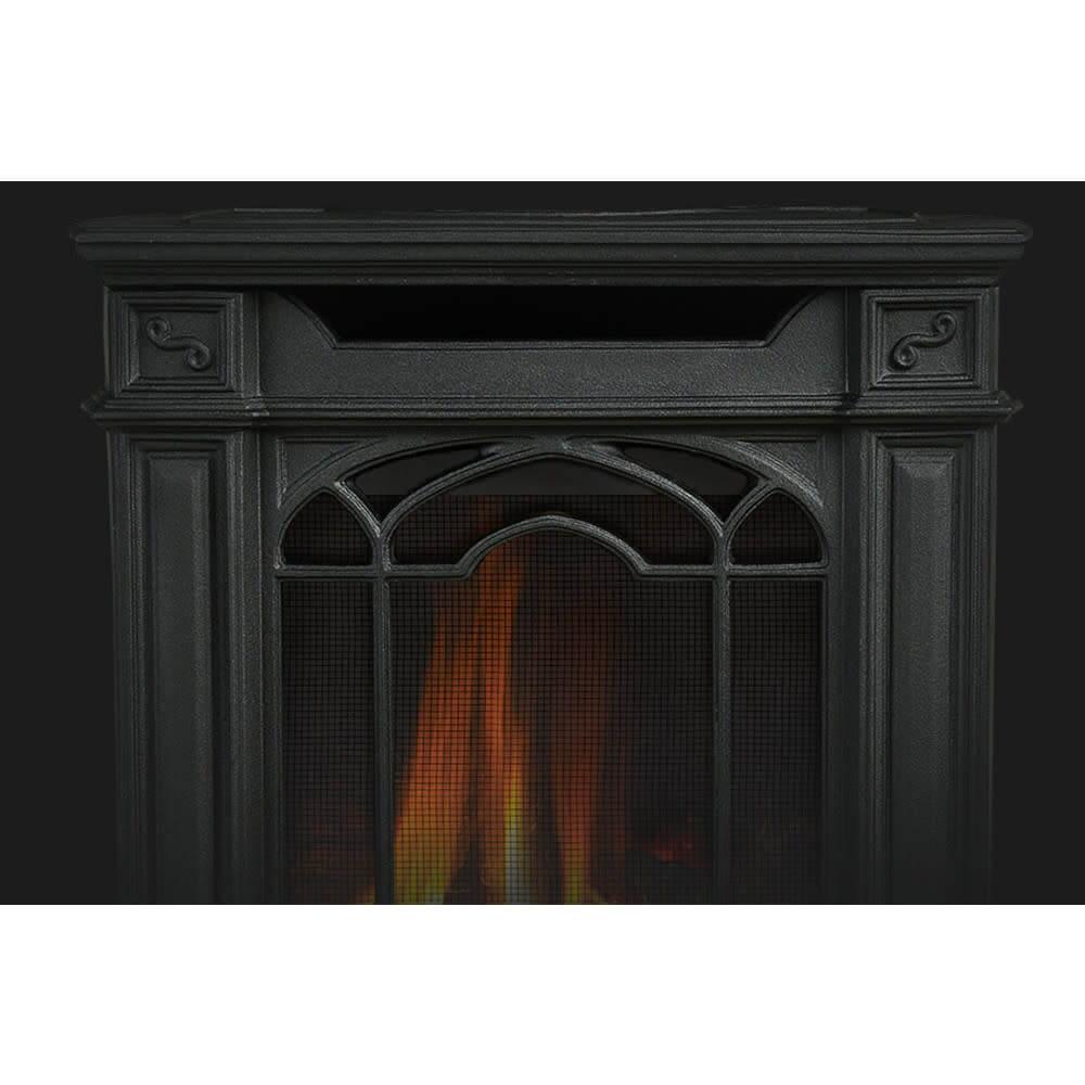 Napoleon Bbq GDS20NE Arlington Direct Vent Gas Stove