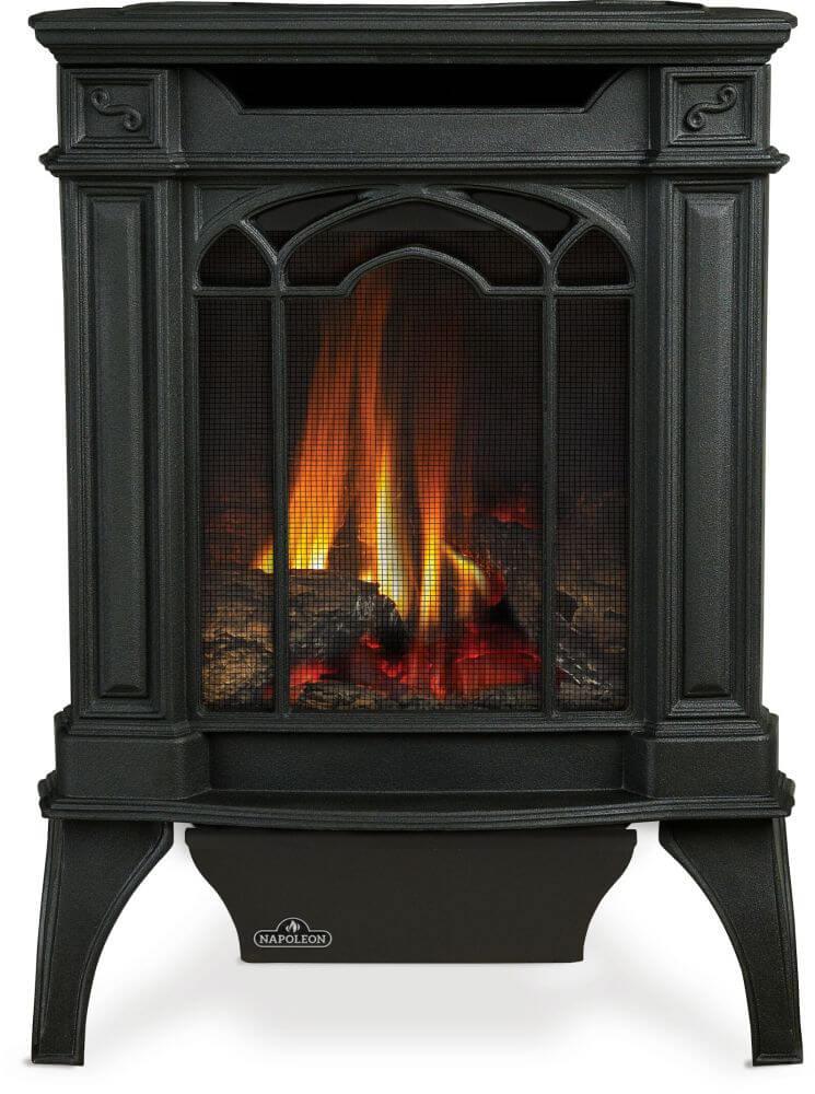Napoleon Bbq GDS20NE Arlington Direct Vent Gas Stove