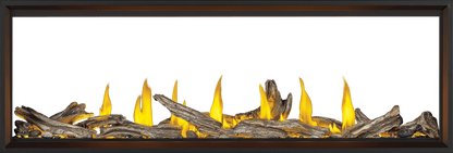 Napoleon Bbq TLV74N2 Tall Linear Vector 74 See Through Direct Vent Gas Fireplace