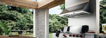 Elica ECP136SS CAPRI Outdoors Range Hood 36" wide - 1200CFM