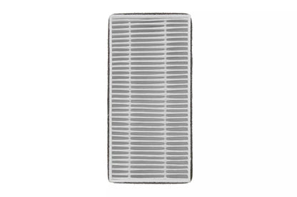 Lg AAFTMH01 Replacement Filter for PuriCare™ Mini