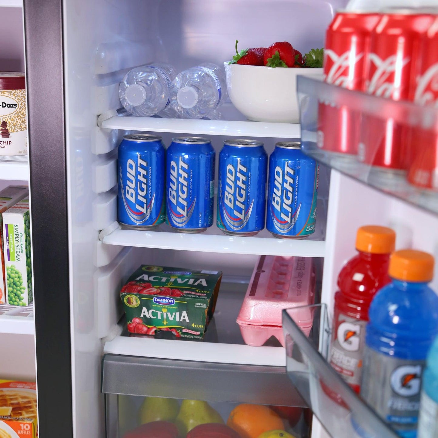 RMS551SS Avanti 5.5 cu. ft. Compact Refrigerator