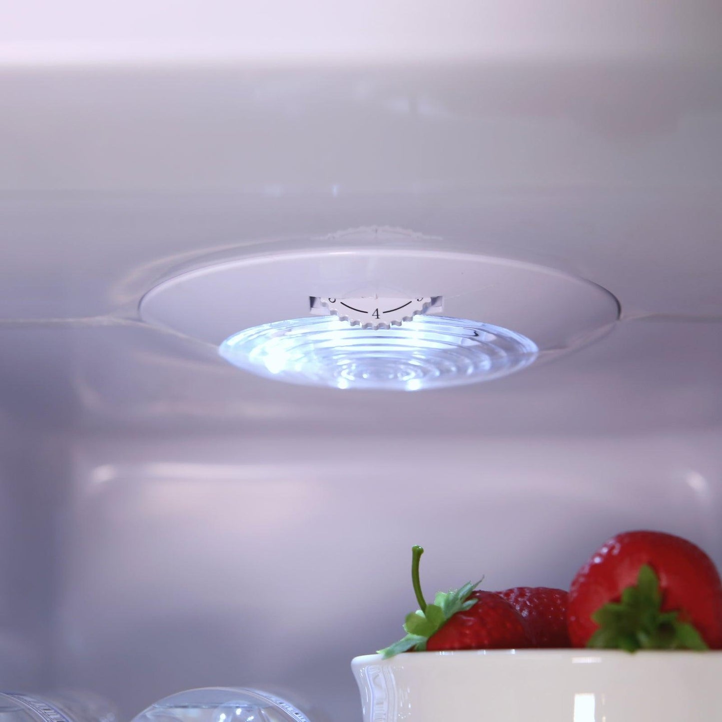 RMS551SS Avanti 5.5 cu. ft. Compact Refrigerator