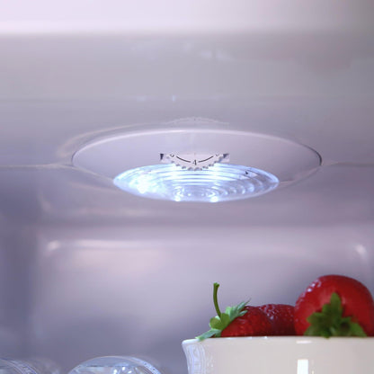 RMS551SS Avanti 5.5 cu. ft. Compact Refrigerator