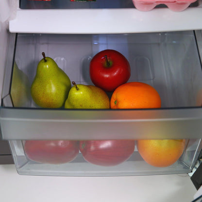 RMS551SS Avanti 5.5 cu. ft. Compact Refrigerator