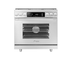 Dacor HDPR36SNG Dual Fuel Pro Range, Silver Stainless Steel, Natural Gas