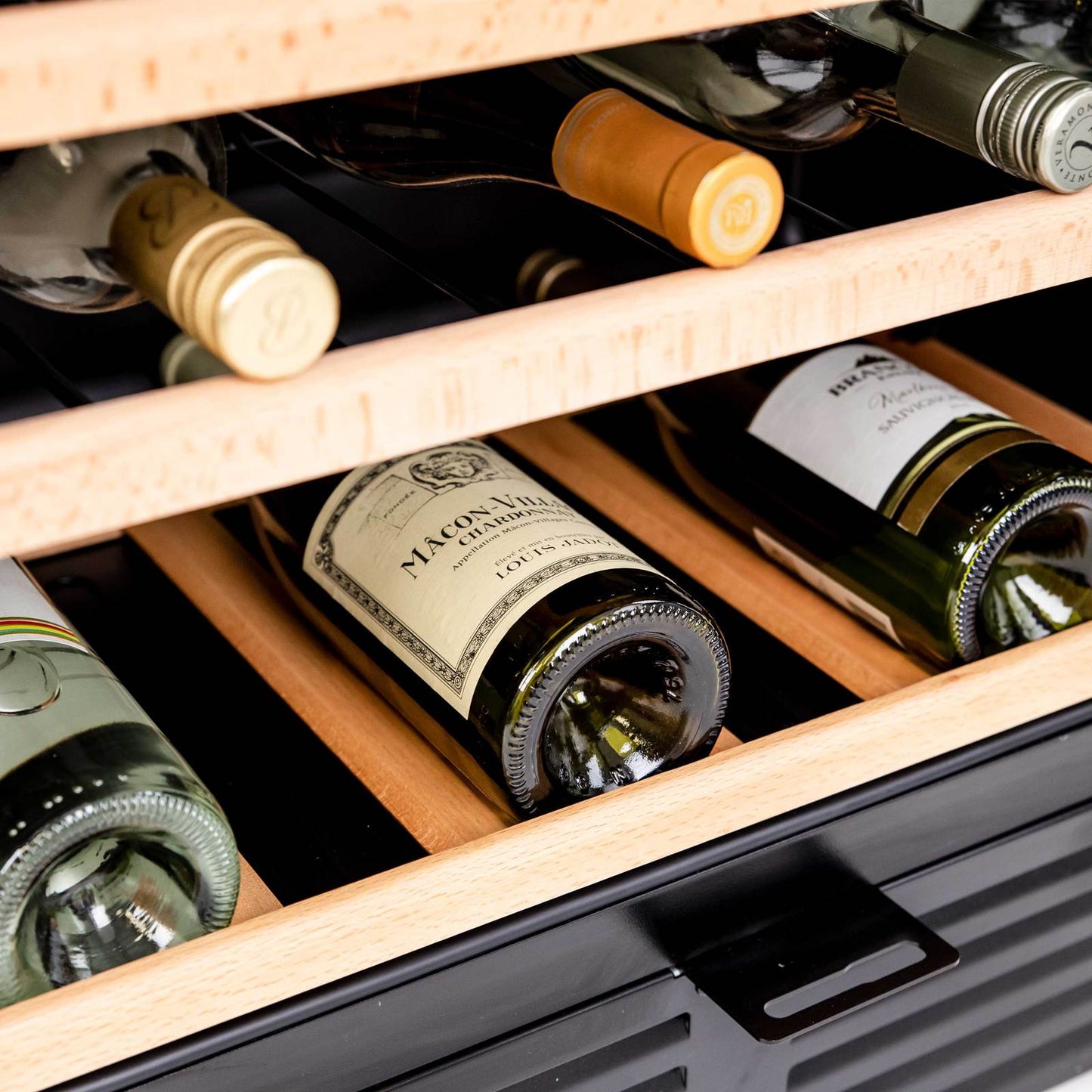 WCR506SS Avanti 50 Bottle Wine Cooler
