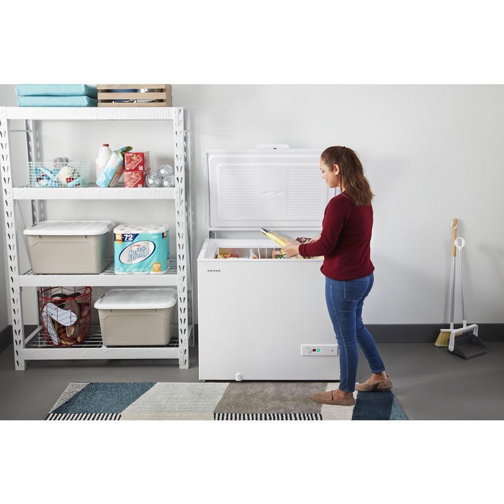 Amana 9 cu. ft. Amana® Chest Freezer