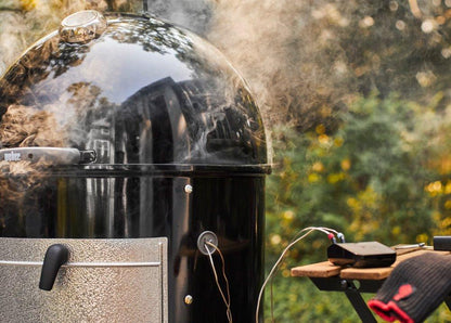 3201 Weber Connect Smart Grilling Hub