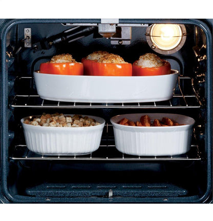GE® 24" Built-In Gas Oven