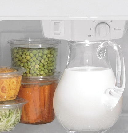 GTS22KYNRFS GE® 21.9 Cu. Ft. Garage Ready Top-Freezer Refrigerator