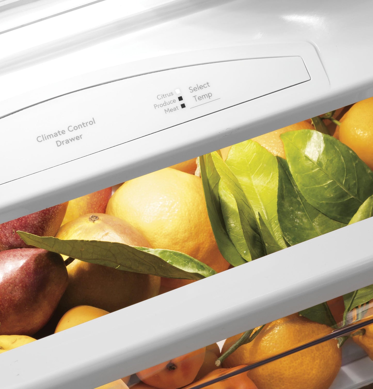 PSB48YSNSS GE Profile™ 48" Smart Built-In Side-by-Side Refrigerator with Dispenser