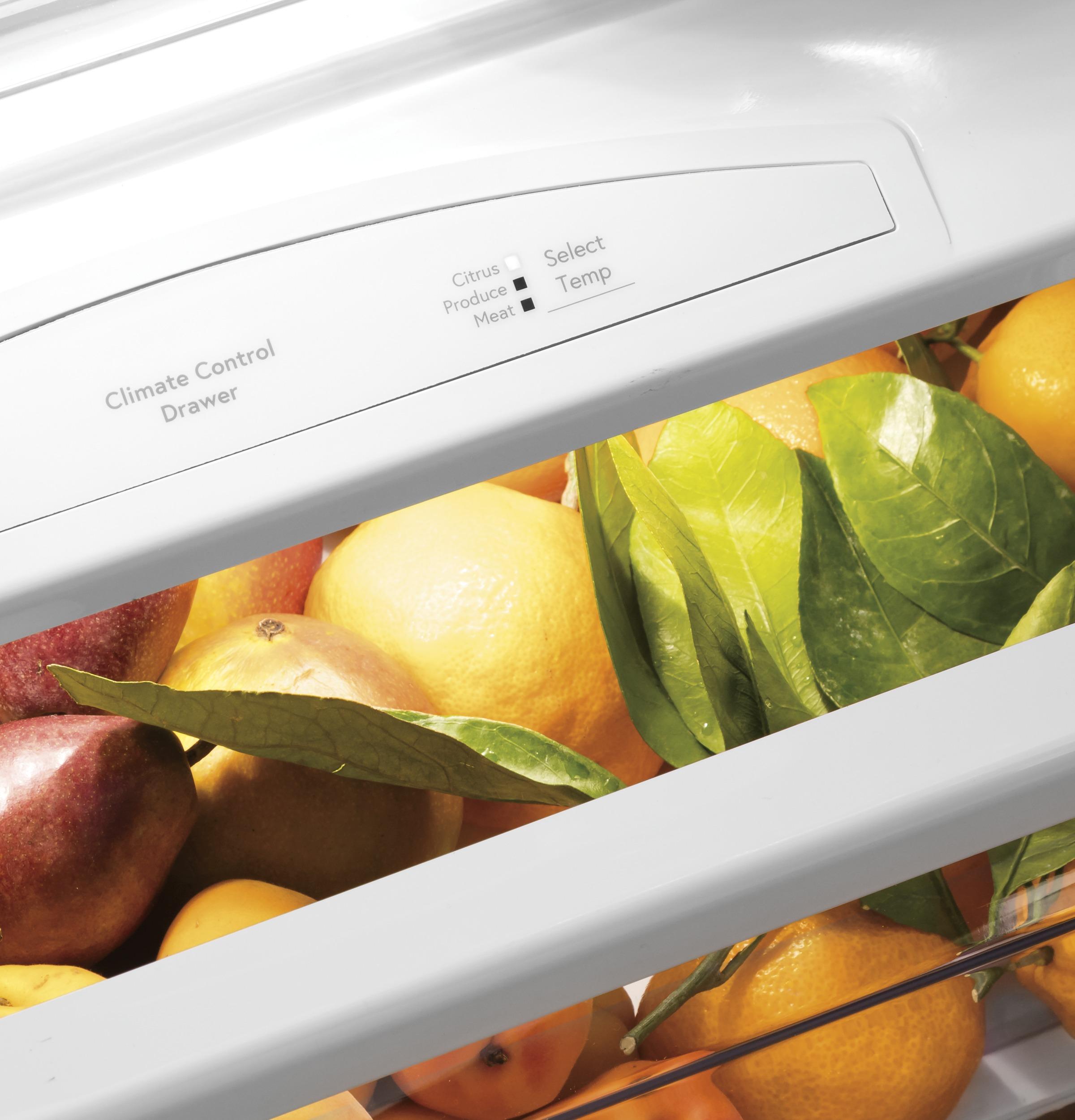 PSB48YSNSS GE Profile™ 48" Smart Built-In Side-by-Side Refrigerator with Dispenser