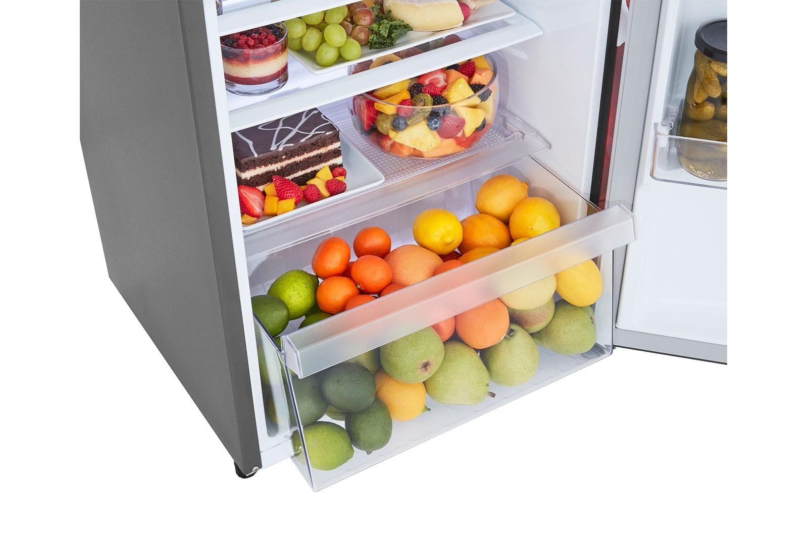 Lg 7 cu. ft. Single Door Refrigerator