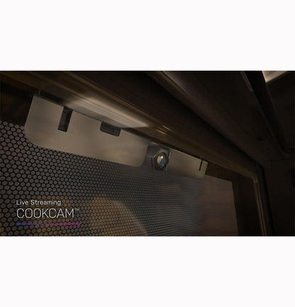 PTS9000SNSS GE Profile™ 30" Smart Built-In Convection Single Wall Oven with In-Oven Camera and No Preheat Air Fry